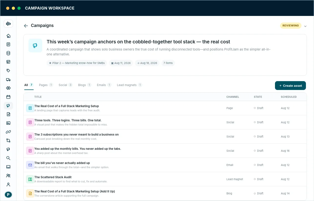Placeholder for a populated ProfitJam campaign workspace showing one campaign and all connected assets.